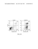 METHODS FOR INDUCING PARTIAL APOPTOSIS USING CASPASE POLYPEPTIDES diagram and image