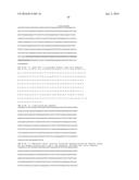 METHODS FOR INDUCING PARTIAL APOPTOSIS USING CASPASE POLYPEPTIDES diagram and image