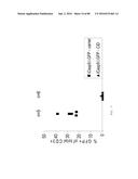 METHODS FOR INDUCING PARTIAL APOPTOSIS USING CASPASE POLYPEPTIDES diagram and image