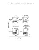 METHODS FOR INDUCING PARTIAL APOPTOSIS USING CASPASE POLYPEPTIDES diagram and image