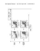 METHODS FOR INDUCING PARTIAL APOPTOSIS USING CASPASE POLYPEPTIDES diagram and image