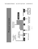 METHODS FOR INDUCING PARTIAL APOPTOSIS USING CASPASE POLYPEPTIDES diagram and image