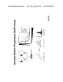 METHODS FOR INDUCING PARTIAL APOPTOSIS USING CASPASE POLYPEPTIDES diagram and image