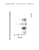 METHODS FOR INDUCING PARTIAL APOPTOSIS USING CASPASE POLYPEPTIDES diagram and image