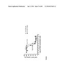 METHODS FOR INDUCING PARTIAL APOPTOSIS USING CASPASE POLYPEPTIDES diagram and image