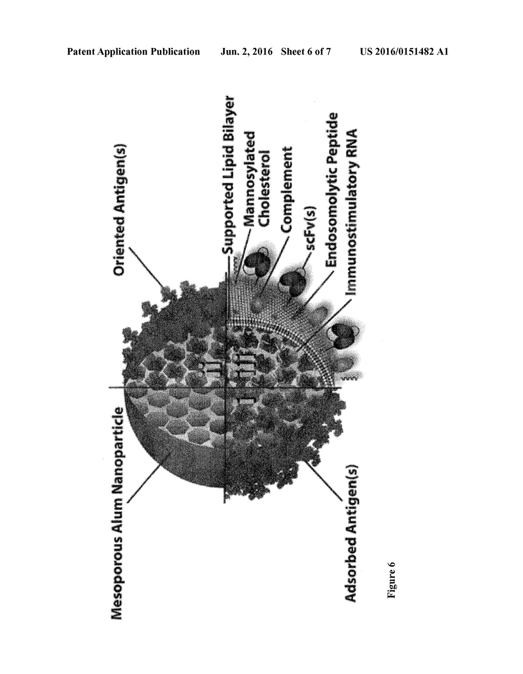 MESOPOROUS ALUM NANOPARTICLES AS A UNIVERSAL PLATFORM FOR ANTIGEN     ADSORPTION, PRESENTATION, AND DELIVERY - diagram, schematic, and image 07