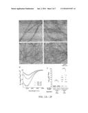 METHODS AND COMPOSITIONS RELATED TO IMMUNOGENIC FIBRILS diagram and image