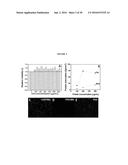 POLY(OLIGOETHYLENE GLYCOL METHACRYLATE) HYDROGEL COMPOSITIONS, AND METHODS     OF USE THEREOF diagram and image