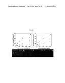 POLY(OLIGOETHYLENE GLYCOL METHACRYLATE) HYDROGEL COMPOSITIONS, AND METHODS     OF USE THEREOF diagram and image