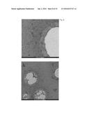 Porous Nanomembranes diagram and image