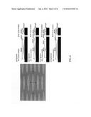 MICRO-NANO HIERARCHICAL STRUCTURE FOR DRAG REDUCTION AND MICROBIAL     ADHESION PREVENTION AND MARINE STRUCTURE COMPRISING THE SAME diagram and image