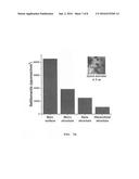 MICRO-NANO HIERARCHICAL STRUCTURE FOR DRAG REDUCTION AND MICROBIAL     ADHESION PREVENTION AND MARINE STRUCTURE COMPRISING THE SAME diagram and image