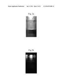 APPARATUS FOR PRODUCING Si NANOPARTICLES USING MICROWAVE PLASMA AND     PRODUCTION METHOD USING THE SAME diagram and image