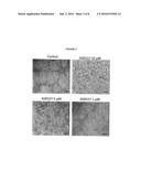 TRICYCLIC PYRROLE COMPOUNDS, THEIR PREPARATION AND USE IN MEDICAMENTS diagram and image