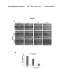 TRICYCLIC PYRROLE COMPOUNDS, THEIR PREPARATION AND USE IN MEDICAMENTS diagram and image