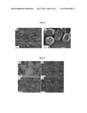 METAL-ORGANIC MATERIALS AND METHOD FOR PREPARATION diagram and image