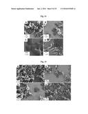 METAL-ORGANIC MATERIALS AND METHOD FOR PREPARATION diagram and image