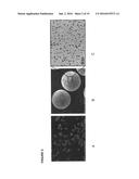 BIOORTHOGONAL METHODS AND COMPOUNDS diagram and image