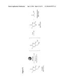 BIOORTHOGONAL METHODS AND COMPOUNDS diagram and image