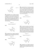 5,6-DIHYDRO-2H-[1,4]OXAZIN-3-YL-AMINE DERIVATIVES USEFUL AS INHIBITORS OF     BETA-SECRETASE (BACE) diagram and image