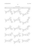 Nuclear Transport Modulators and Uses Thereof diagram and image