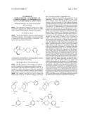 SYNTHESIS OF (2S,5R)-5-ETHYNYL-1-PYRROLIDINE-2-CARBONITRILE diagram and image