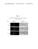 SINGLE DOMAIN TDF-RELATED COMPOUNDS AND ANALOGS THEREOF diagram and image