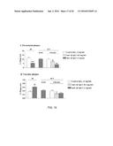 METHODS AND DEVICE TO NEUTRALIZE SOLUBLE TOXIC AGENTS IN THE BRAIN diagram and image