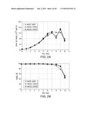 METHODS FOR CONTROLLING THE GALACTOSYLATION PROFILE OF     RECOMBINANTLY-EXPRESSED PROTEINS diagram and image