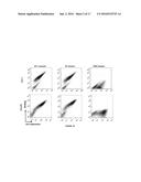 ANTIGEN-BINDING PROTEINS SPECIFIC FOR HLA-A2-RESTRICTED WILMS TUMOR 1     PEPTIDE diagram and image