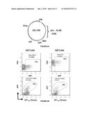 ANTIGEN-BINDING PROTEINS SPECIFIC FOR HLA-A2-RESTRICTED WILMS TUMOR 1     PEPTIDE diagram and image