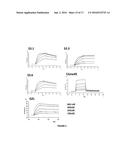 ANTIGEN-BINDING PROTEINS SPECIFIC FOR HLA-A2-RESTRICTED WILMS TUMOR 1     PEPTIDE diagram and image