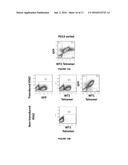 ANTIGEN-BINDING PROTEINS SPECIFIC FOR HLA-A2-RESTRICTED WILMS TUMOR 1     PEPTIDE diagram and image