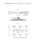 PROTEIN IN WHICH ELECTRICAL INTERACTION IS INTRODUCED WITHIN HYDROPHOBIC     INTERACTION SITE AND PREPARATION METHOD THEREFOR diagram and image