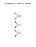 PROTEIN IN WHICH ELECTRICAL INTERACTION IS INTRODUCED WITHIN HYDROPHOBIC     INTERACTION SITE AND PREPARATION METHOD THEREFOR diagram and image