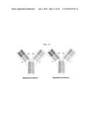 PROTEIN IN WHICH ELECTRICAL INTERACTION IS INTRODUCED WITHIN HYDROPHOBIC     INTERACTION SITE AND PREPARATION METHOD THEREFOR diagram and image