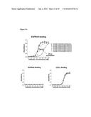 ANTIBODY BINDING SITES SPECIFIC FOR EGFRvIII diagram and image