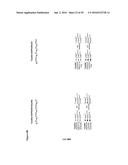 ANTIBODY BINDING SITES SPECIFIC FOR EGFRvIII diagram and image