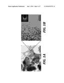 NANODIAMOND COMPOSITES AND METHODS FOR THEIR SYNTHESIS diagram and image