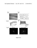 Methods of Maintaining, Expanding and Differentiating Neuronal Subtype     Specific Progenitors diagram and image