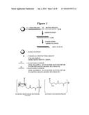 CHEMICALLY MODIFIED SHORT INTERFERING NUCLEIC ACID MOLECULES THAT MEDIATE     RNA INTERFERENCE diagram and image