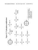 CHEMICALLY MODIFIED SHORT INTERFERING NUCLEIC ACID MOLECULES THAT MEDIATE     RNA INTERFERENCE diagram and image