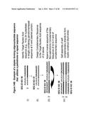 CHEMICALLY MODIFIED SHORT INTERFERING NUCLEIC ACID MOLECULES THAT MEDIATE     RNA INTERFERENCE diagram and image