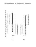 CHEMICALLY MODIFIED SHORT INTERFERING NUCLEIC ACID MOLECULES THAT MEDIATE     RNA INTERFERENCE diagram and image