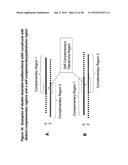 CHEMICALLY MODIFIED SHORT INTERFERING NUCLEIC ACID MOLECULES THAT MEDIATE     RNA INTERFERENCE diagram and image