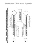 CHEMICALLY MODIFIED SHORT INTERFERING NUCLEIC ACID MOLECULES THAT MEDIATE     RNA INTERFERENCE diagram and image