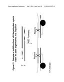 CHEMICALLY MODIFIED SHORT INTERFERING NUCLEIC ACID MOLECULES THAT MEDIATE     RNA INTERFERENCE diagram and image