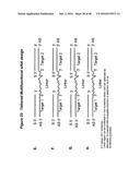 CHEMICALLY MODIFIED SHORT INTERFERING NUCLEIC ACID MOLECULES THAT MEDIATE     RNA INTERFERENCE diagram and image