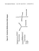 CHEMICALLY MODIFIED SHORT INTERFERING NUCLEIC ACID MOLECULES THAT MEDIATE     RNA INTERFERENCE diagram and image