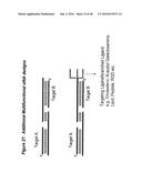 CHEMICALLY MODIFIED SHORT INTERFERING NUCLEIC ACID MOLECULES THAT MEDIATE     RNA INTERFERENCE diagram and image